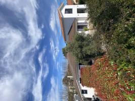 Felipe BERCHESI - FELIPE BERCHESI EI